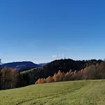 Mountain View With Sauna And Hot-tub - Three Bedroom With Sauna And Hot-tub Vila Slovenj Gradec