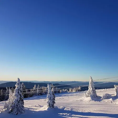 Villa Mountain View With Sauna And Hot-tub - Three Bedroom With Sauna And Hot-tub Slovenj Gradec