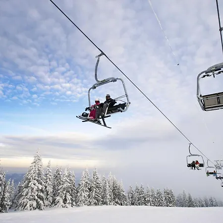 Mountain View With Sauna And Hot-tub - Three Bedroom With Sauna And Hot-tub *