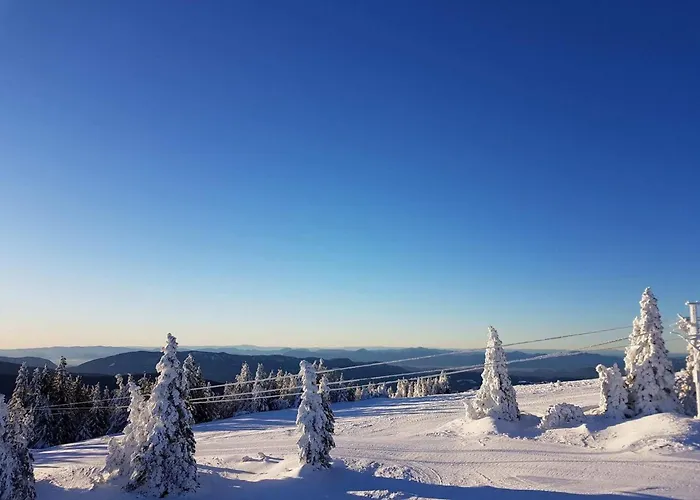 Villa Mountain View Villa With Sauna And Hot-Tub - Three Bedroom Villa With Sauna And Hot-Tub Slovenj Gradec