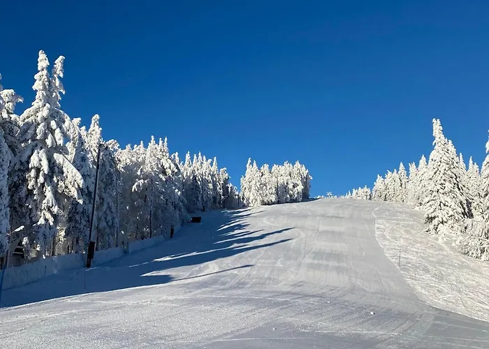 Mountain View Villa With Sauna And Hot-Tub - Three Bedroom Villa With Sauna And Hot-Tub Vila Slovinský Hradec